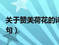 關(guān)于贊美荷花的詩句大全(關(guān)于贊美荷花的詩句) 關(guān)于贊美荷花的詩句大全(關(guān)于贊美荷花的詩句)