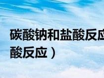 碳酸鈉和鹽酸反應(yīng)生成碳酸氫鈉（碳酸鈉和鹽酸反應(yīng)）