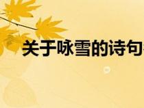 關于詠雪的詩句名句（關于詠雪的詩句）