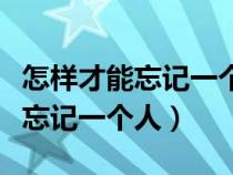 怎樣才能忘記一個人放下一段感情（怎樣才能忘記一個人）