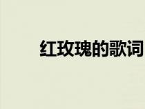 紅玫瑰的歌詞內容（紅玫瑰的歌詞）