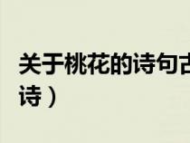 關(guān)于桃花的詩(shī)句古詩(shī)小學(xué)（關(guān)于桃花的詩(shī)句古詩(shī)）