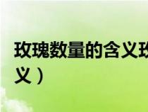 玫瑰數(shù)量的含義玫瑰數(shù)量圖表（玫瑰數(shù)量的含義）
