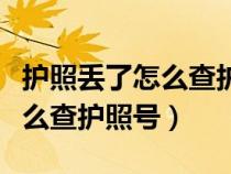護(hù)照丟了怎么查護(hù)照號碼是多少（護(hù)照丟了怎么查護(hù)照號）
