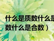 什么是質(zhì)數(shù)什么是合數(shù)什么是因數(shù)（什么是質(zhì)數(shù)什么是合數(shù)）