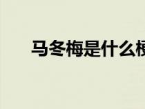 馬冬梅是什么梗圖片（馬冬梅什么梗）