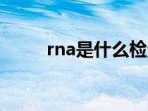 rna是什么檢查項(xiàng)目（rna是什么）