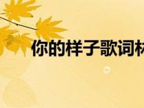 你的樣子歌詞林志炫（你的樣子歌詞）
