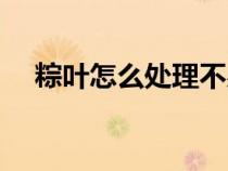 粽葉怎么處理不易開裂（粽葉怎么處理）