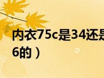 內(nèi)衣75c是34還是36(內(nèi)衣75a是34的還是36的) 內(nèi)衣75c是34還是36(內(nèi)衣75a是34的還是36的)