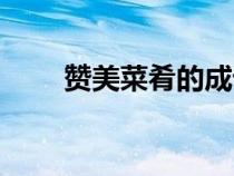 贊美菜肴的成語(yǔ)（贊美菜肴的詩(shī)句）