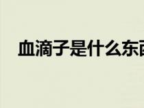 血滴子是什么東西?（血滴子是什么東西）
