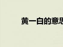 黃一白的意思（黃一白什么意思）
