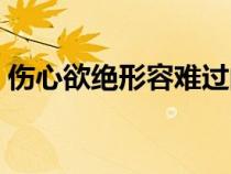 傷心欲絕形容難過的詞語（形容難過的詞語）