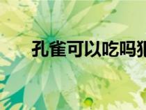 孔雀可以吃嗎犯法(孔雀肉可以吃嗎) 孔雀可以吃嗎犯法(孔雀肉可以吃嗎)
