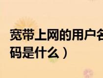寬帶上網的用戶名和密碼（寬帶的用戶名和密碼是什么）