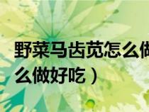 野菜馬齒莧怎么做好吃又簡(jiǎn)單（野菜馬齒莧怎么做好吃）