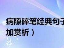 病隙碎筆經(jīng)典句子摘抄加賞析（經(jīng)典句子摘抄加賞析）