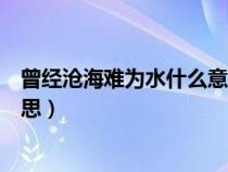 曾經(jīng)滄海難為水什么意思怎么解釋（曾經(jīng)滄海難為水什么意思）