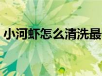 小河蝦怎么清洗最干凈（蝦的正確清洗方法）