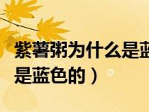 紫薯粥為什么是藍(lán)色的能吃嗎（紫薯粥為什么是藍(lán)色的）