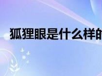 狐貍眼是什么樣的眼（狐貍眼是什么樣的）