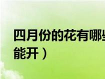四月份的花有哪些能開?（四月份的花有哪些能開）