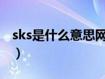 sks是什么意思網(wǎng)絡(luò)用語（網(wǎng)絡(luò)用語sk的解釋）