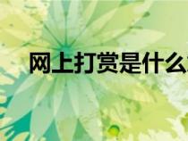 網(wǎng)上打賞是什么意思（打賞是什么意思）