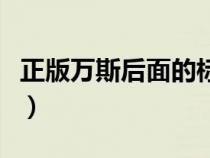 正版萬斯后面的標(biāo)志（萬斯怎么從后標(biāo)看真假）