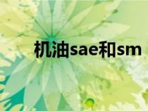 機(jī)油sae和sm(機(jī)油sae是什么意思) 機(jī)油sae和sm(機(jī)油sae是什么意思)