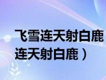 飛雪連天射白鹿 笑書神俠倚碧鴛順序（飛雪連天射白鹿）