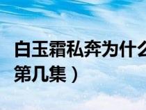 白玉霜私奔為什么回來(lái)（白玉霜死的那一集是第幾集）