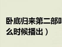 臥底歸來第二部叫啥名字（臥底歸來第二部什么時候播出）