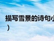 描寫雪景的詩句小學(xué)三年級（描寫雪景的詩句）