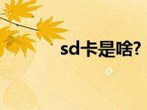 sd卡是啥?（sd卡是什么東西）