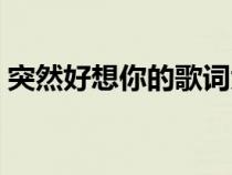 突然好想你的歌詞大意（突然好想你的歌詞）