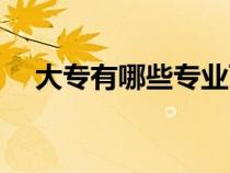 大專有哪些專業(yè)可選（大專有哪些專業(yè)）