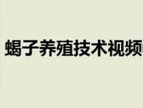 蝎子養(yǎng)殖技術(shù)視頻教學(xué)央視（蝎子養(yǎng)殖技術(shù)）