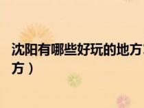 沈陽有哪些好玩的地方11歲以上玩的(沈陽有哪些好玩的地方) 沈陽有哪些好玩的地方11歲以上玩的(沈陽有哪些好玩的地方)