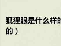 狐貍眼是什么樣的眼型圖片（狐貍眼是什么樣的）