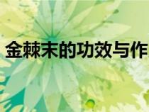 金棘末的功效與作用及禁忌（金棘末的功效）