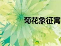 菊花象征寓意（菊花象征含義）