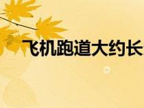飛機跑道大約長多少（飛機跑道有多長）