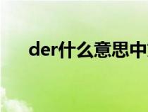 der什么意思中文翻譯（der什么意思）