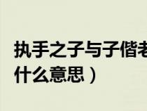 執(zhí)手之子與子偕老什么意思(執(zhí)之手與子偕老什么意思) 執(zhí)手之子與子偕老什么意思(執(zhí)之手與子偕老什么意思)