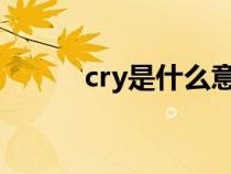 cry是什么意思（cr是什么意思）