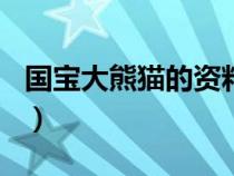 國寶大熊貓的資料100字（國寶大熊貓的資料）