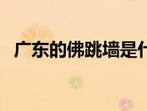 廣東的佛跳墻是什么菜（佛跳墻是什么菜）