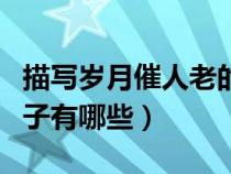 描寫歲月催人老的語句（描寫歲月催人老的句子有哪些）